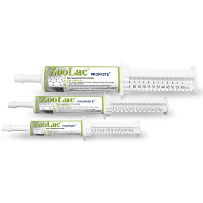 Integratore Intestinale Cane e Gatto – Pasta Riequilibrante con Pre e Probiotici