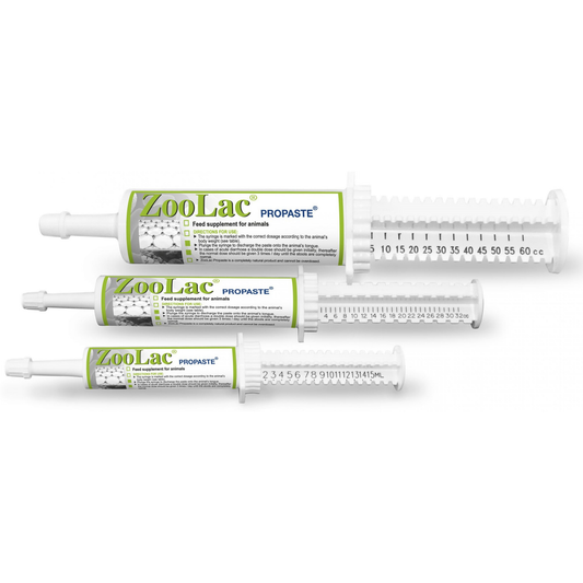 Integratore Intestinale Cane e Gatto – Pasta Riequilibrante con Pre e Probiotici