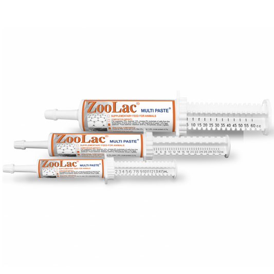 Integratore Intestinale forte Cane e Gatto – con Zeolite per diarrea e disturbi intestinali